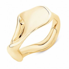 Spirits Bay Ring in 10kt Yellow Gold